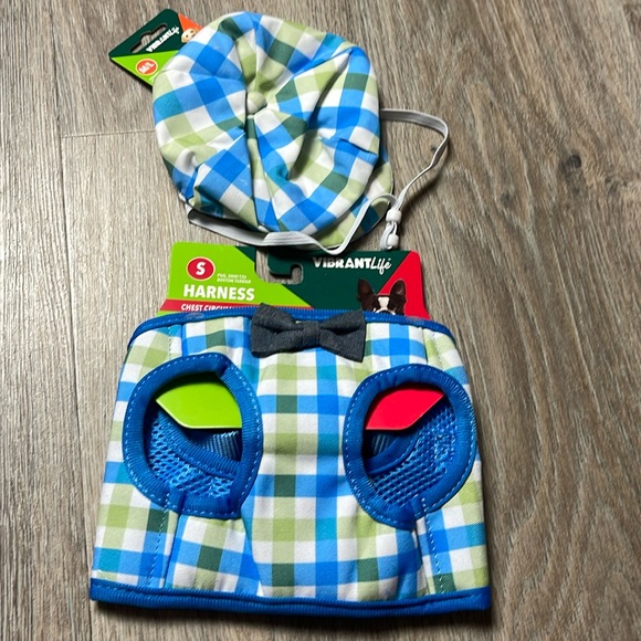 Pet Harness + Hat Size Small - Picture 8 of 15